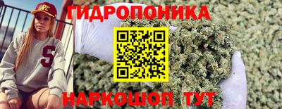 спиды Кунгур