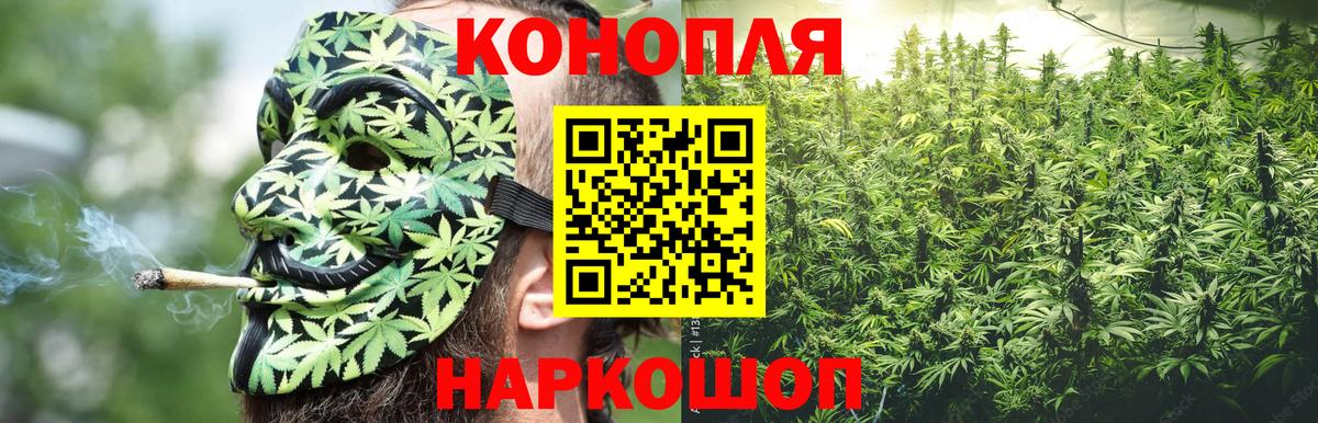 Шишки марихуана семена Зеленодольск
